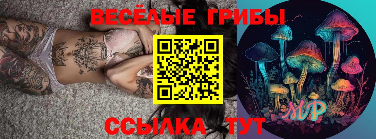 Шарыпово  Галлюциногенные грибы прущие грибы  Вход с VPN 